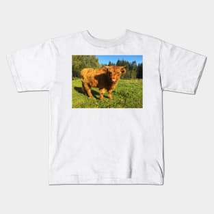 Scottish Highland Cattle Calf 2117 Kids T-Shirt